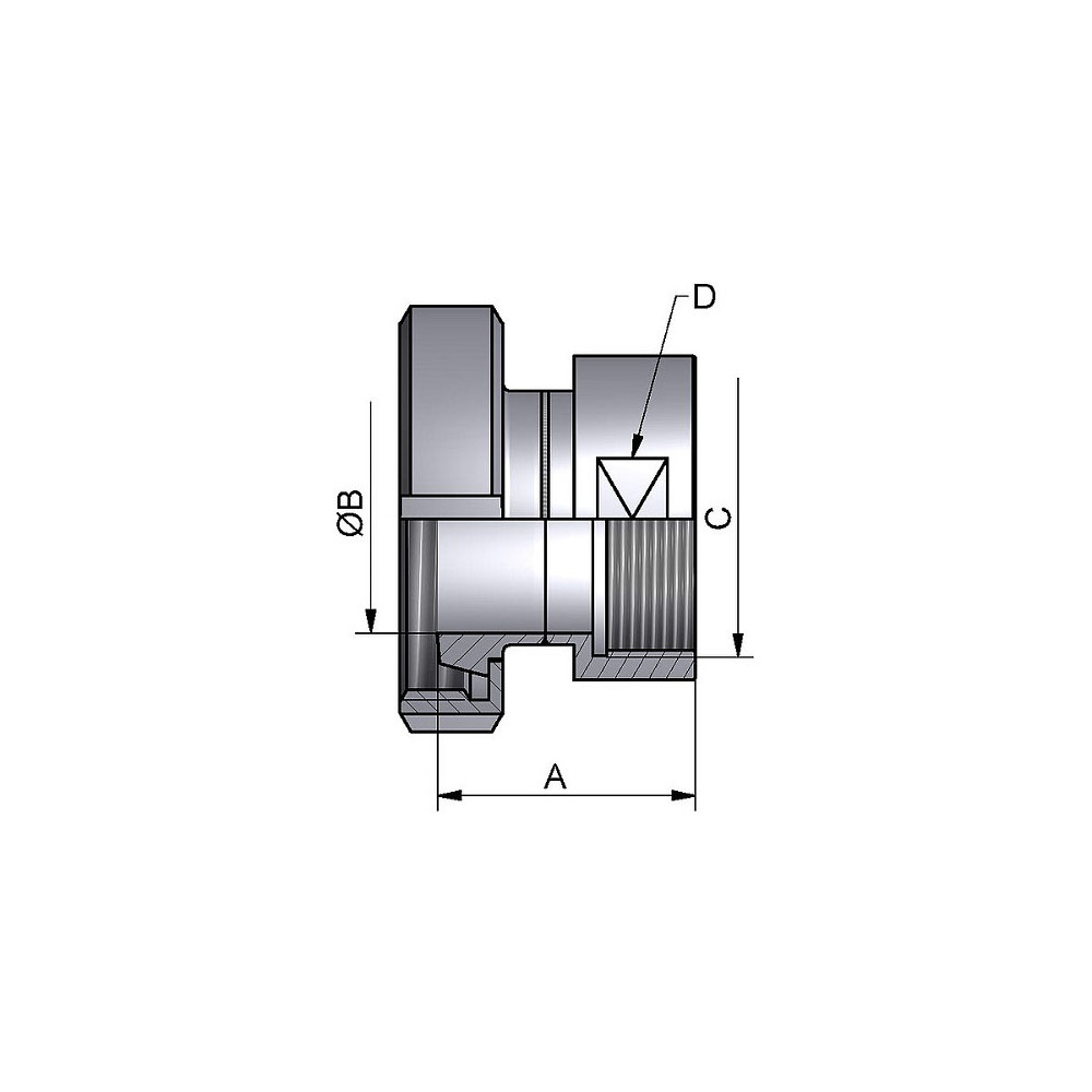 Wkładka DN32x 1¼" BSP Żeński 304