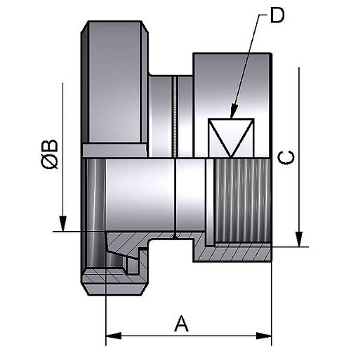 Wkładka DN20x 3/4" BSP Żeński 316L