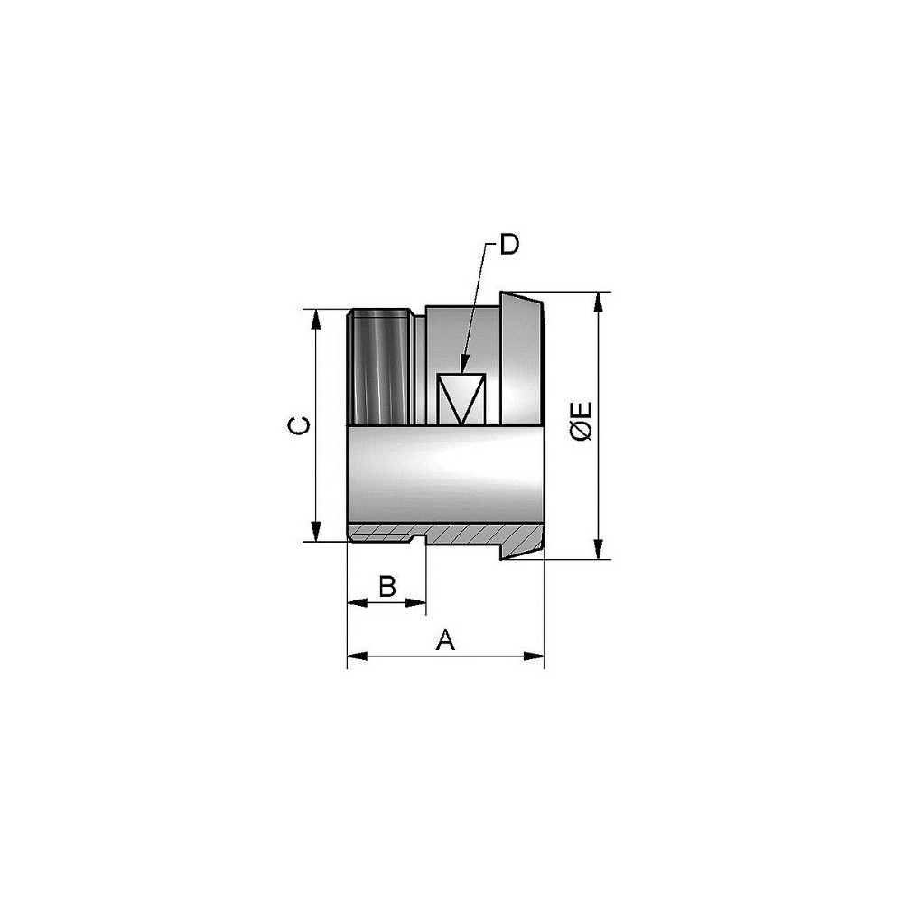 Wkładka DN15x1/2" BSP gwint zewnętrzny 304