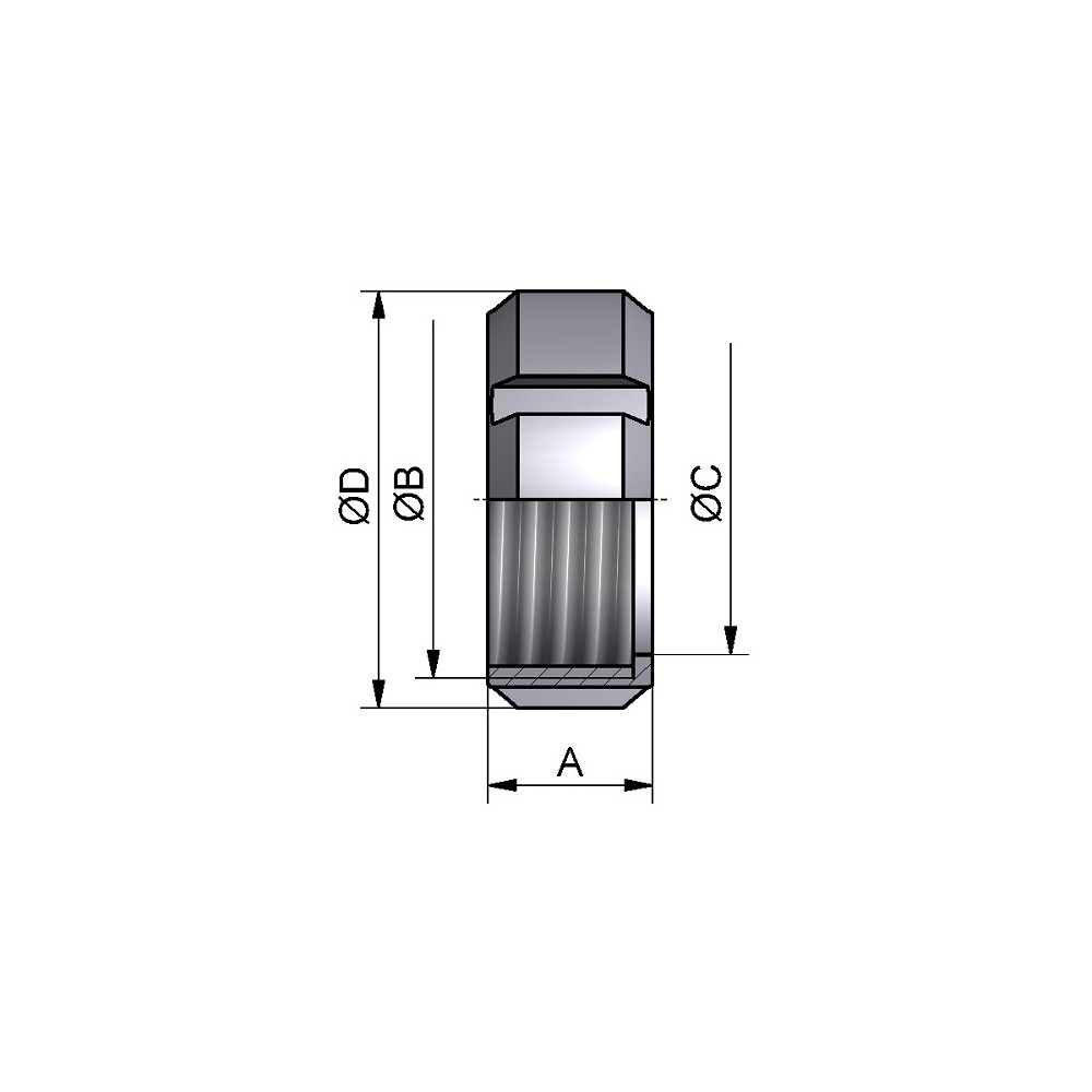 Nakrętka IDF 1.1/2" 304 P
