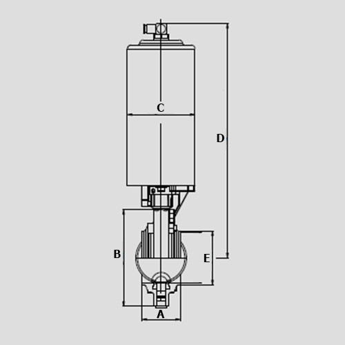 Südmo 1" W/W 316L A/S PTFE