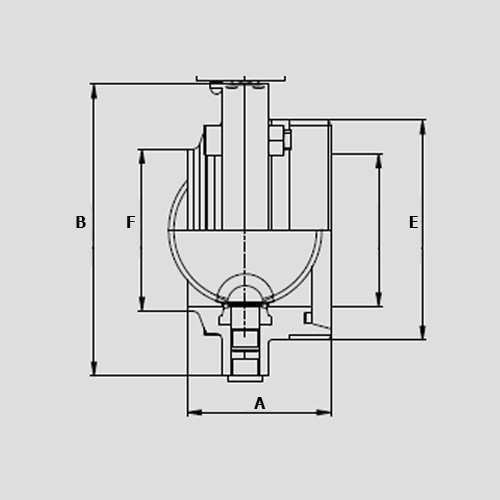 Südmo DN20 W/M 316L WH HNBR