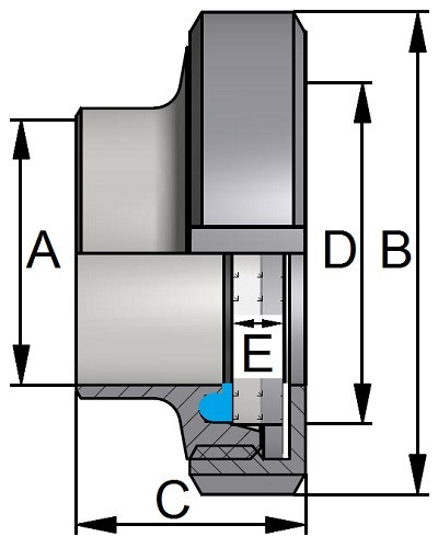 Wziernik DIN11851 DN150 316 NBR
