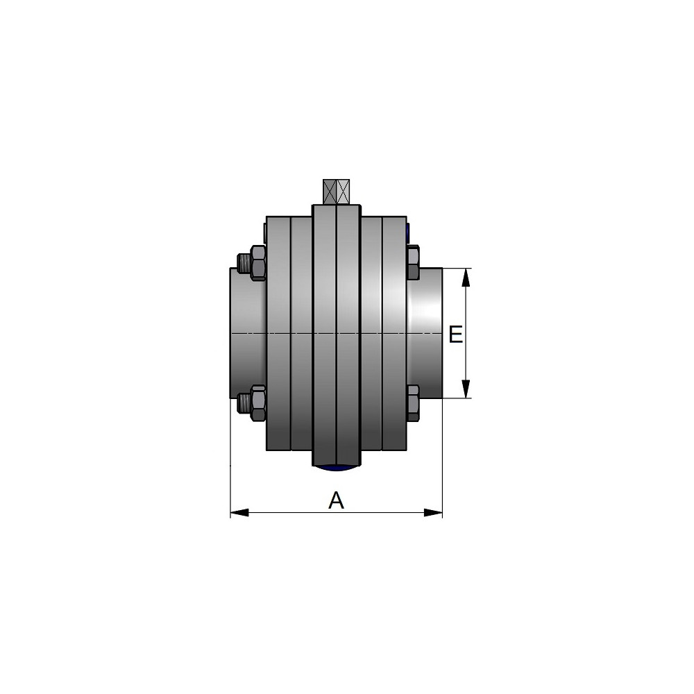 Przepustnica BFV DN50 FL/FL 316 Compact WH SIL