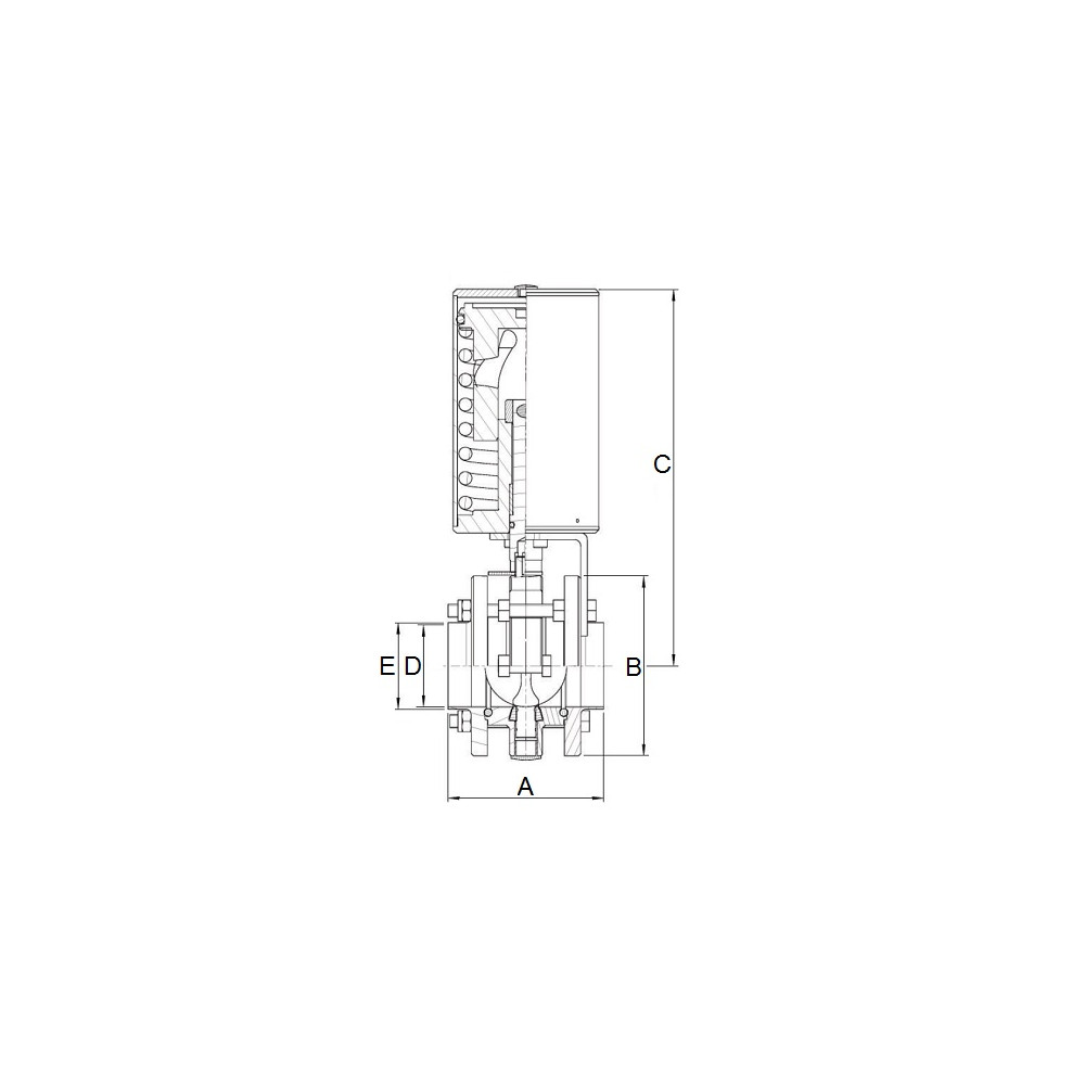 NOCADO 1" ZF13 EHEDG AO EPDM