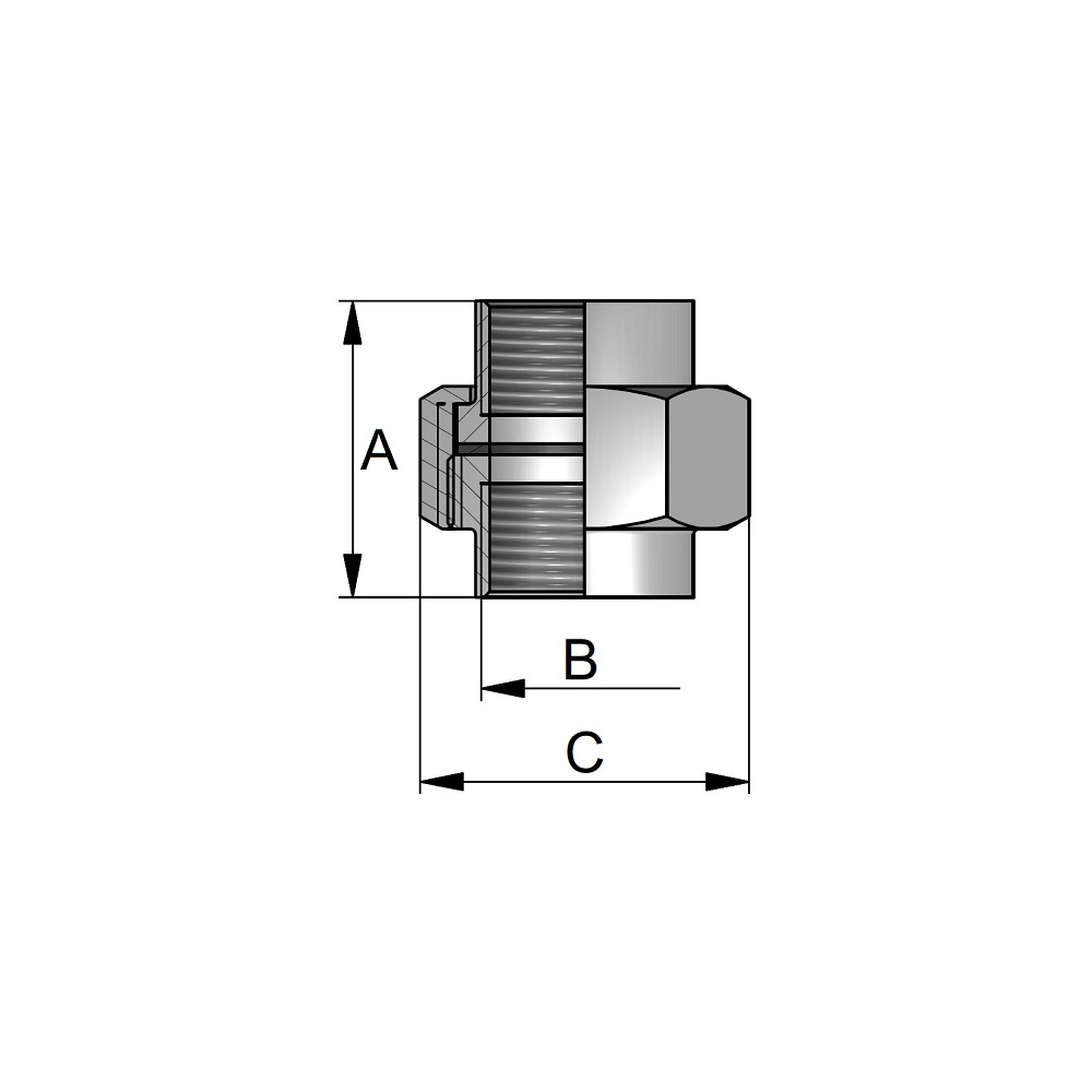 Złączka F/F 3/4" 316