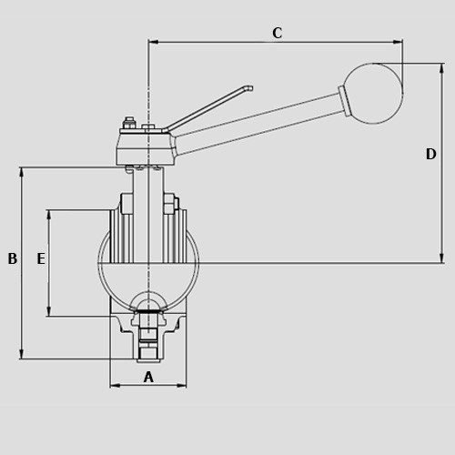 Südmo DN65 W/W 316L MO FKM