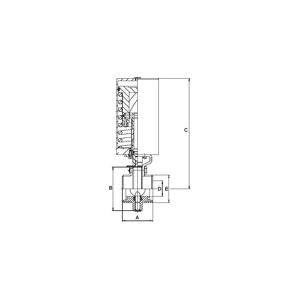 NOCADO DN25 M/M 316P AS EPDM
