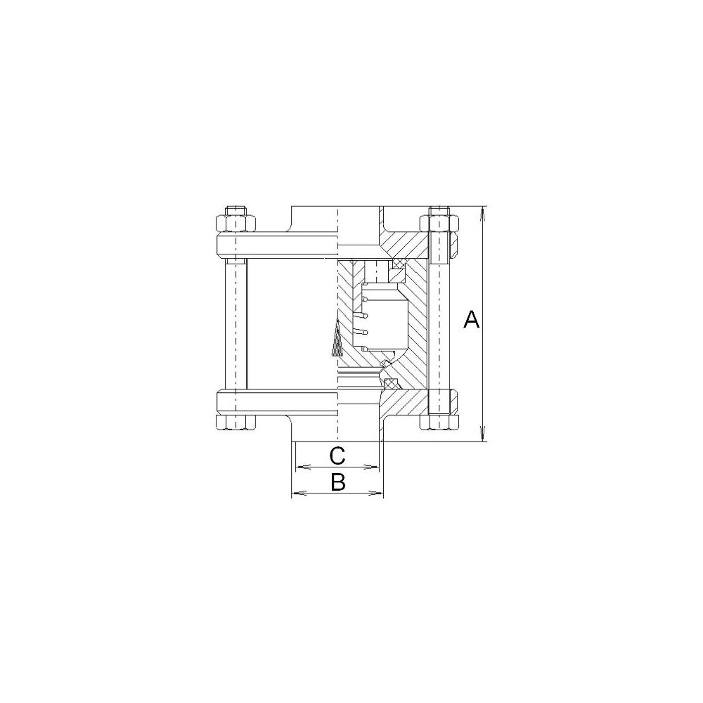 Nocado NRV DN50 F/F 304/NBR