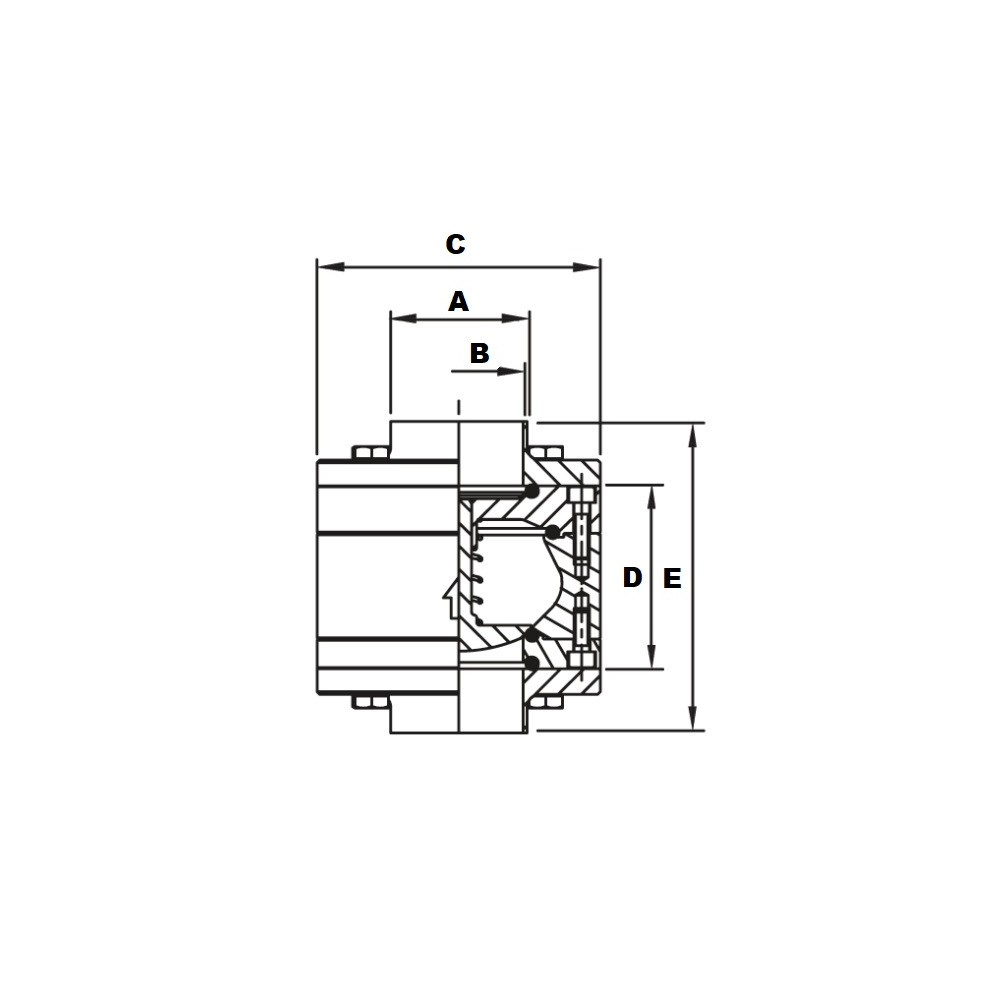 AWH NRV F/F DN50 316/EPDM