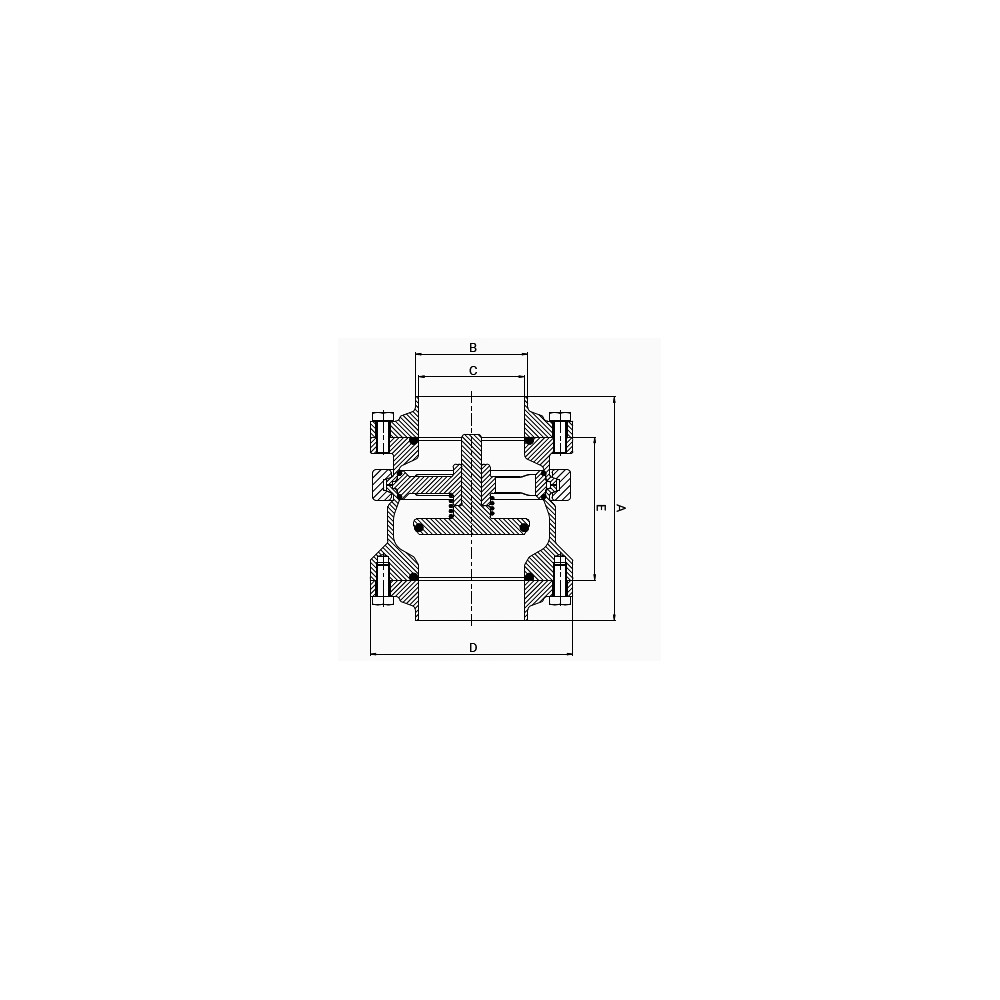 Südmo NRV DN65 F/F 316/EPDM