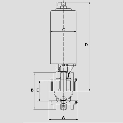 Südmo 3" F/F 316L A/S HNBR