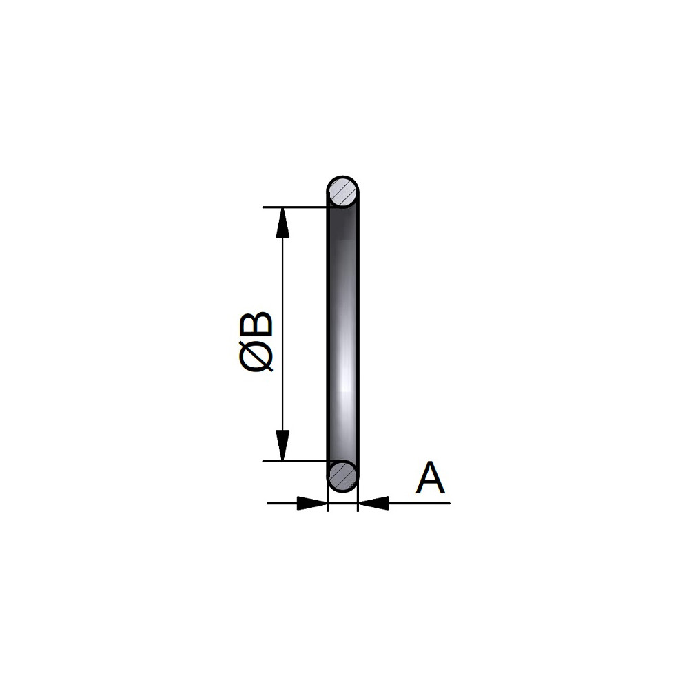Aseptyczny ORing DN40 FEPSil