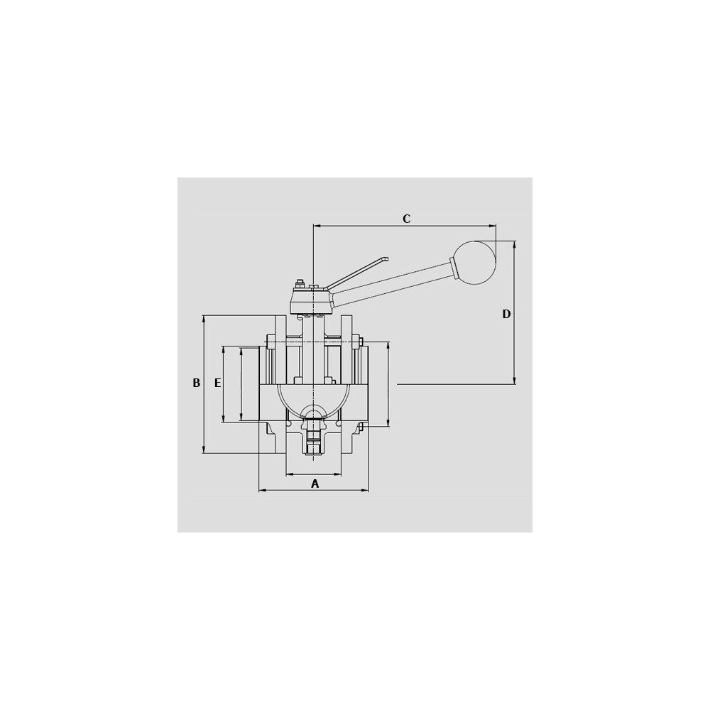 Südmo DN80 F/F 316L MO PTFE