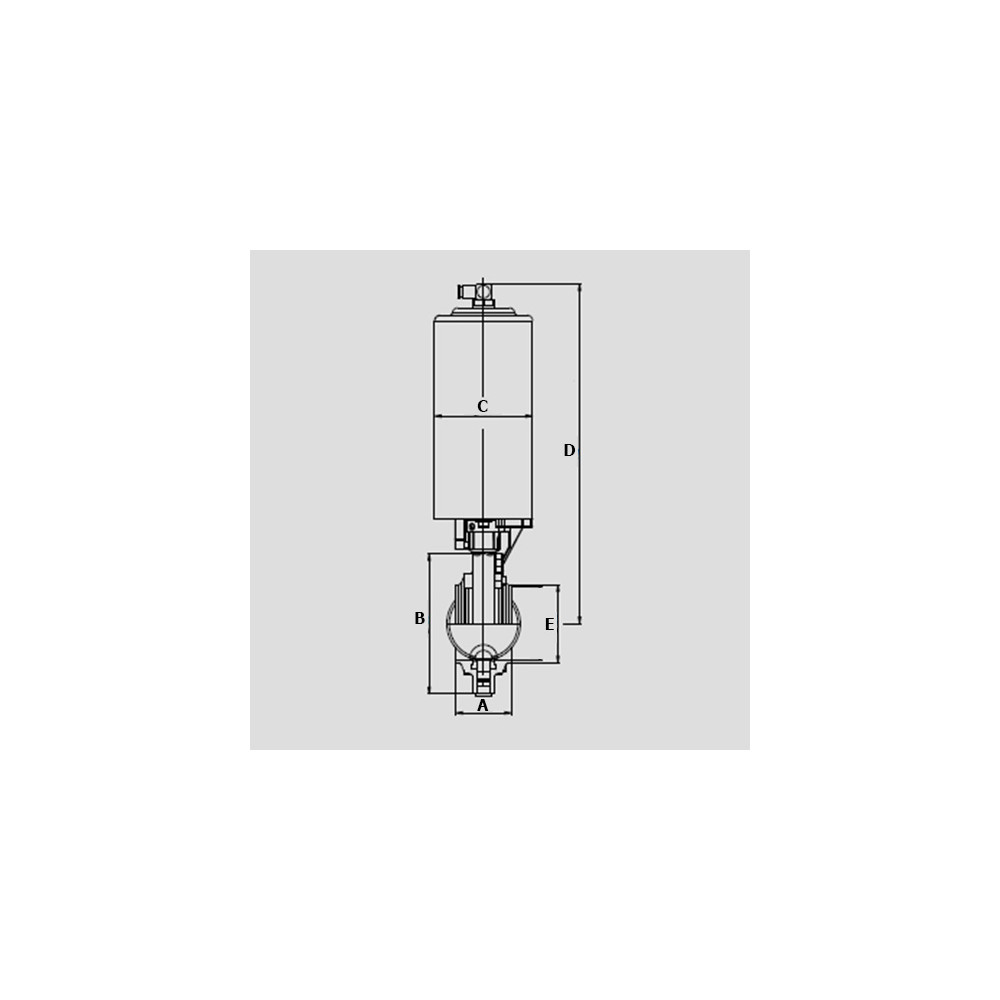 Südmo DN32 W/W 316L A/S PTFE