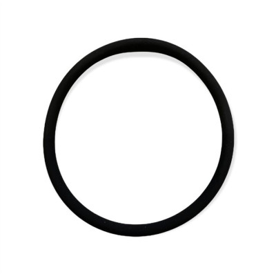 VITON O-RING - FOOTVALVE MAIN SEAL