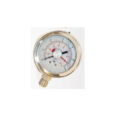PRESSURE GAUGE, 2.5" DIAMETER, 0-10 BAR, 1/4"BSP CONNECTION, STAINLESS HOUSING, TELL TALE