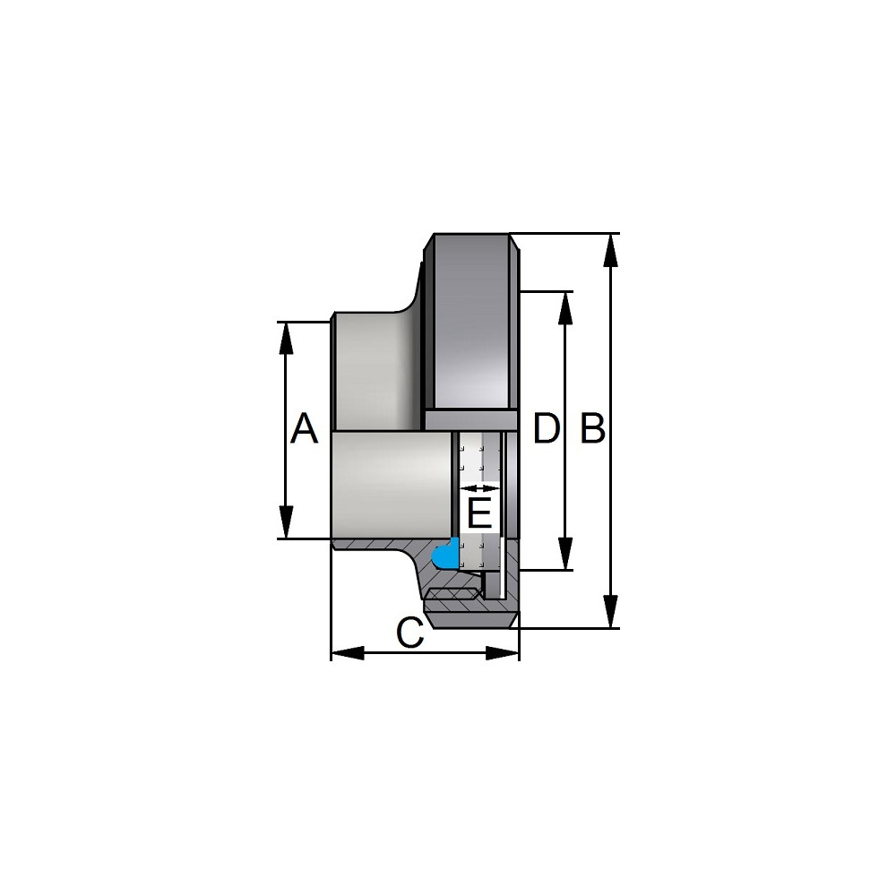 Wziernik DIN11851 DN125 316 NBR